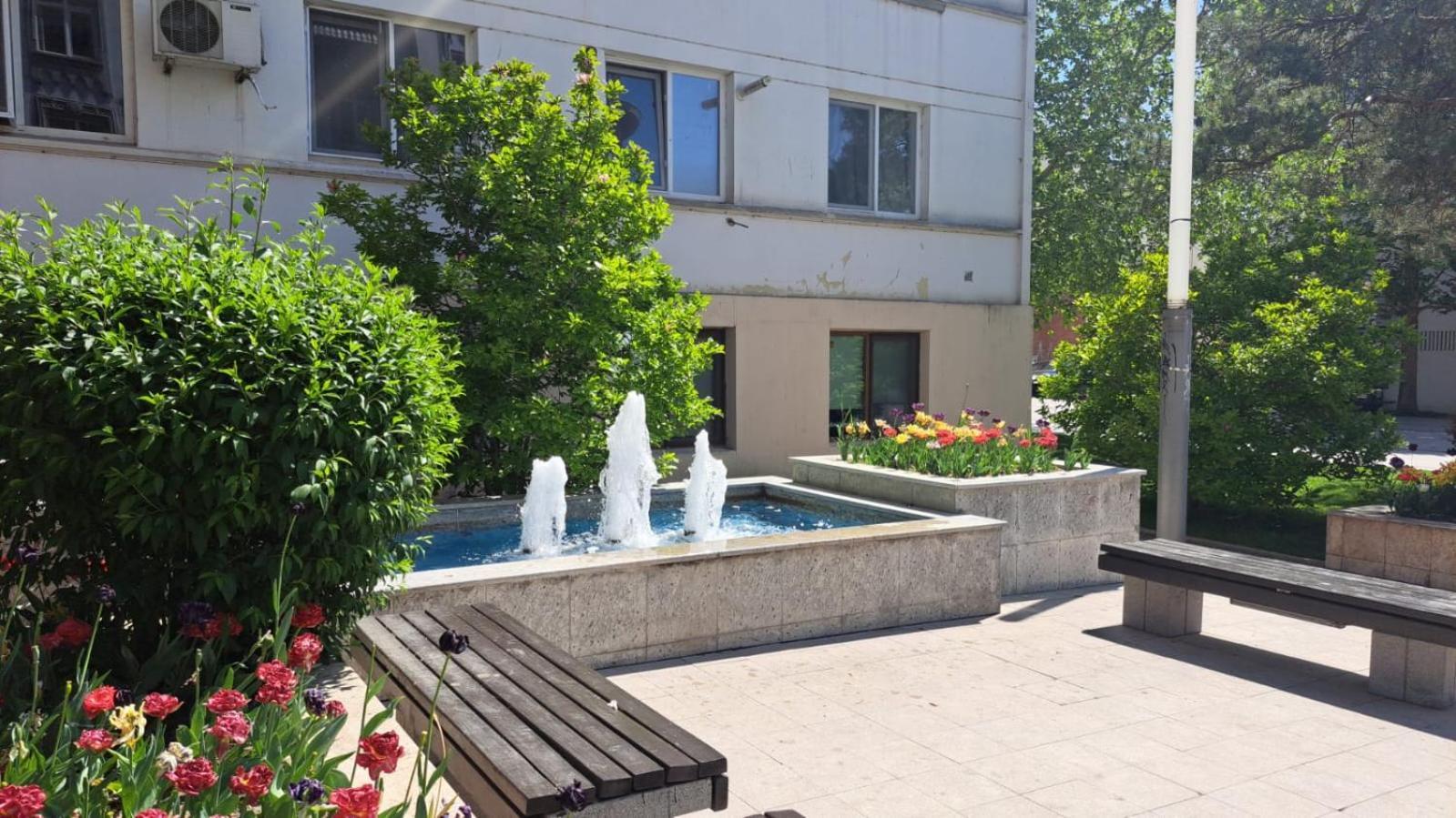 Apartament Kitty Centrul Istoric Craiova Bagian luar foto