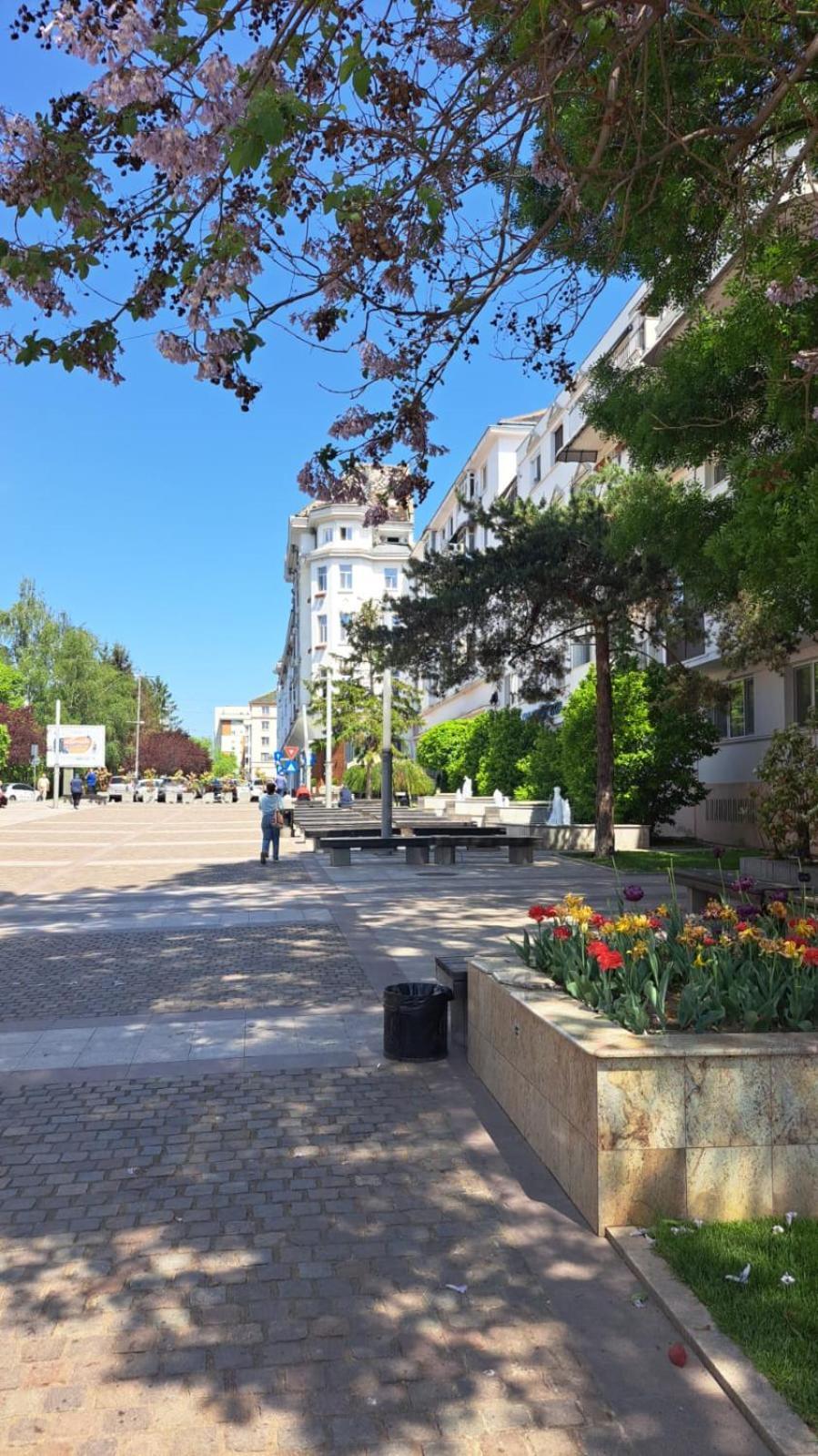 Apartament Kitty Centrul Istoric Craiova Bagian luar foto